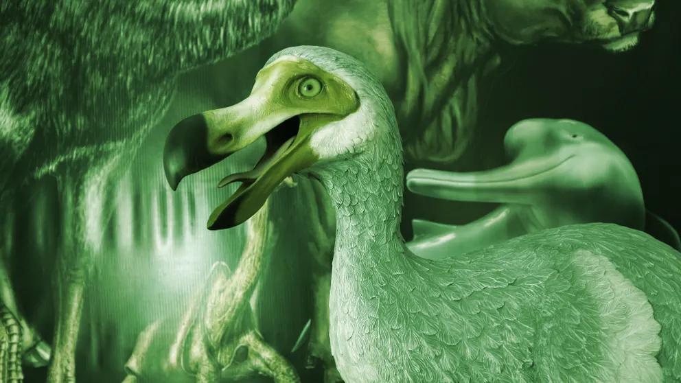 A Dodo. Image: Shutterstock.