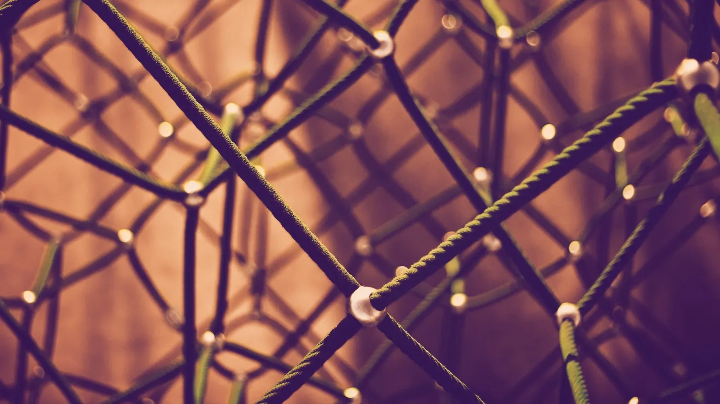 photo credit: unsplash