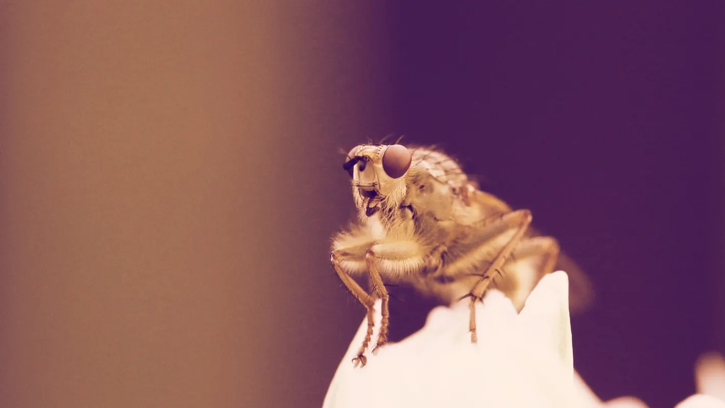 photo credit: unsplash