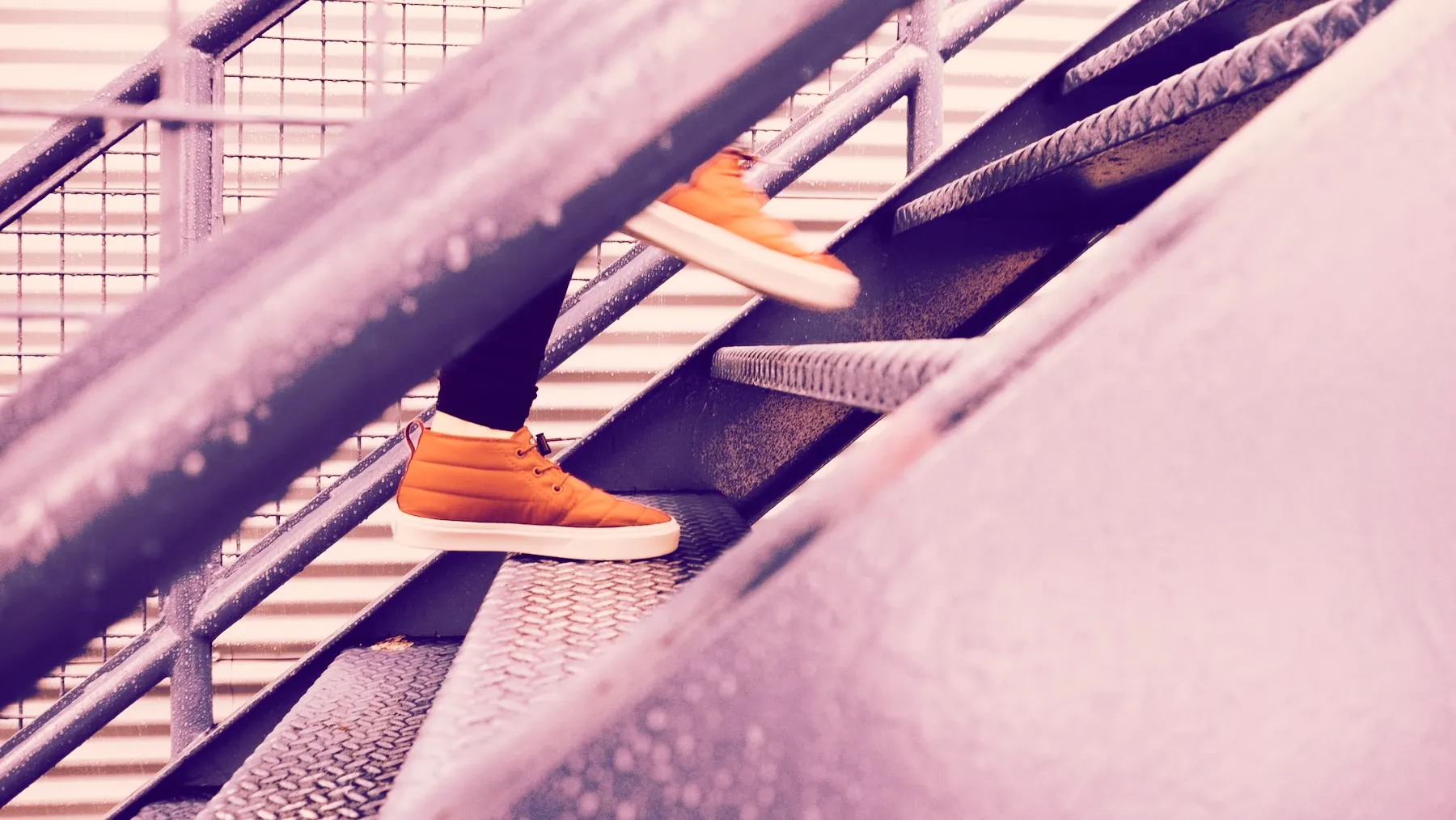 PHOTO CREDIT: UNSPLASH