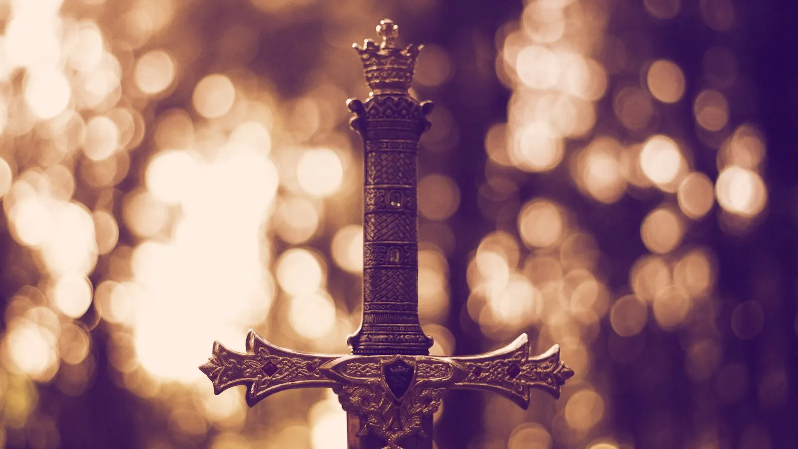 Photo by Ricardo Cruz on Unsplash