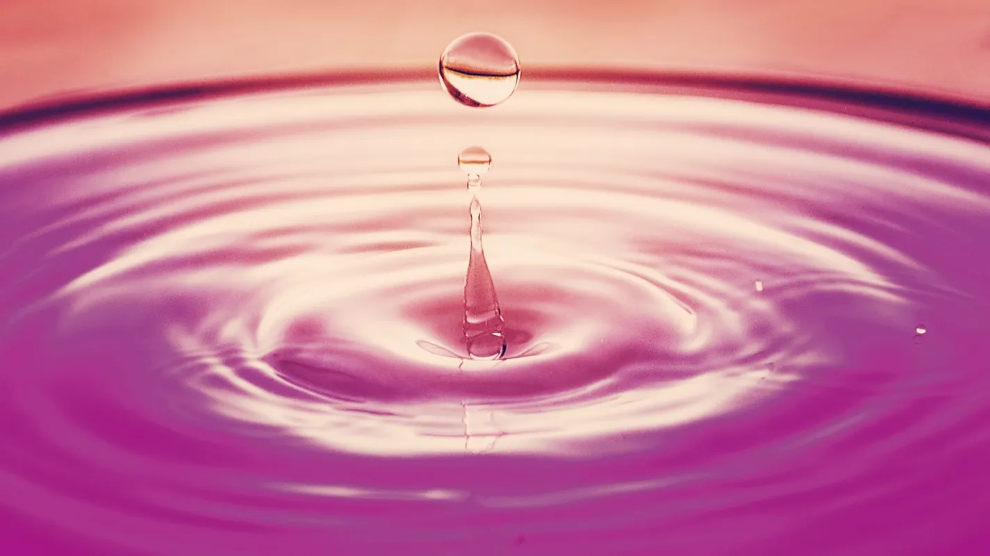 photo credit: unsplash