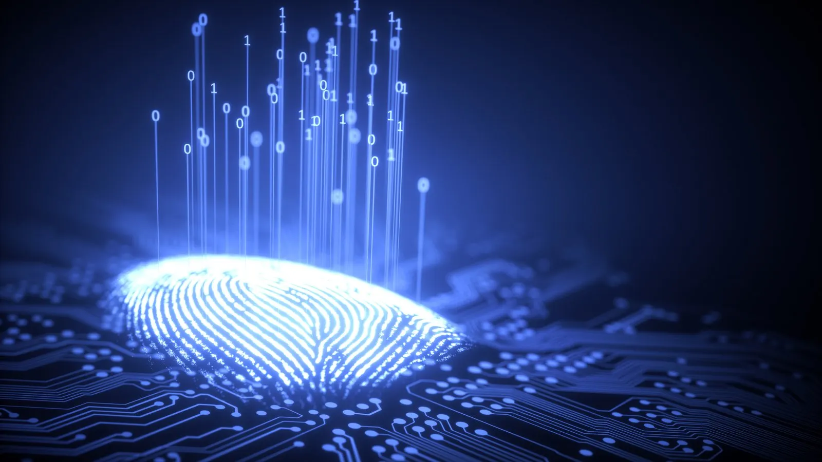 Fingerprint integrated in a printed circuit, releasing binary codes. Image: Shutterstock.
