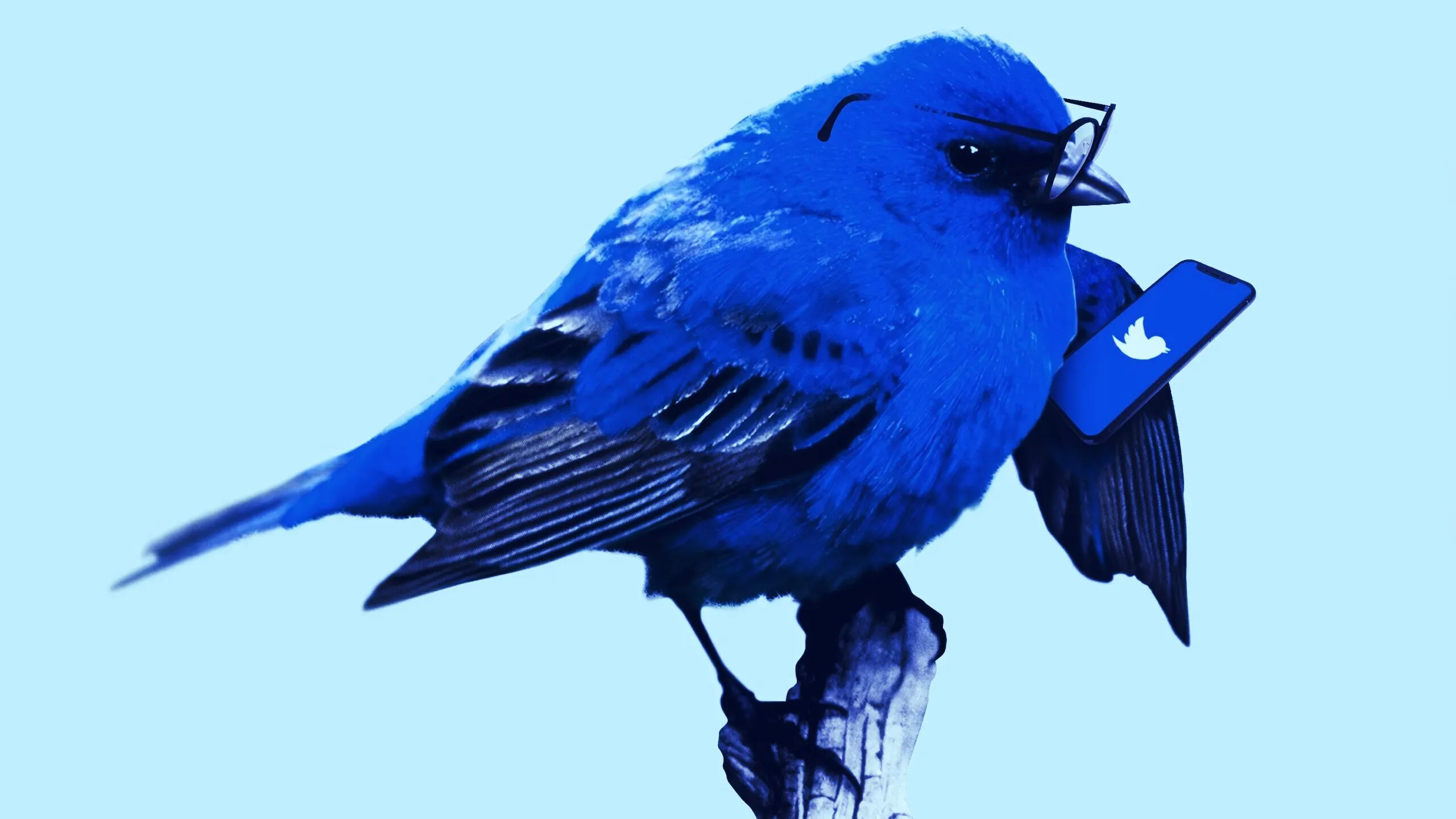 Twitter has updated its security policies. Image: Unsplash