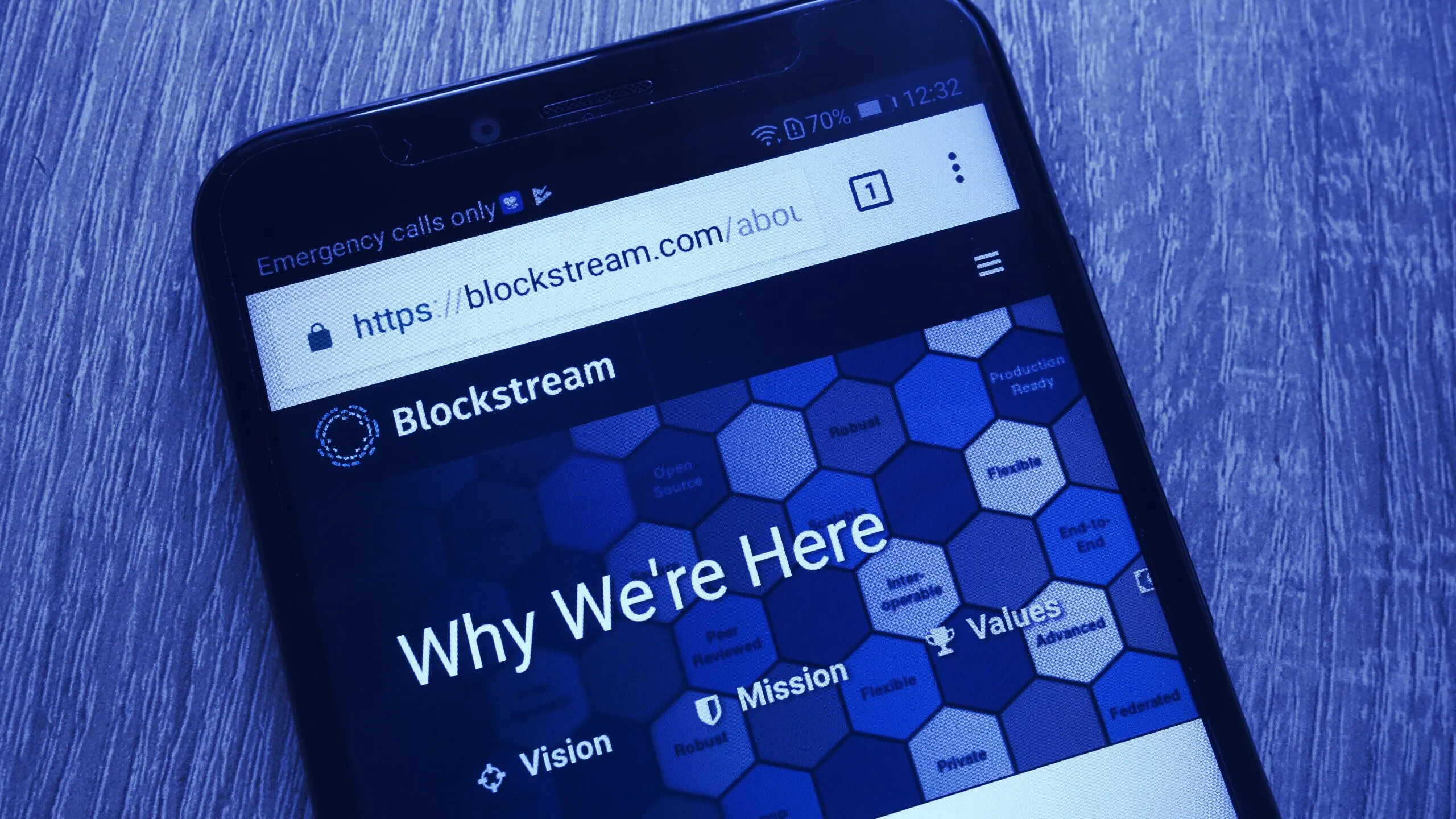 Blockstream is a blockchain development company founded in 2014. Image: Shutterstock