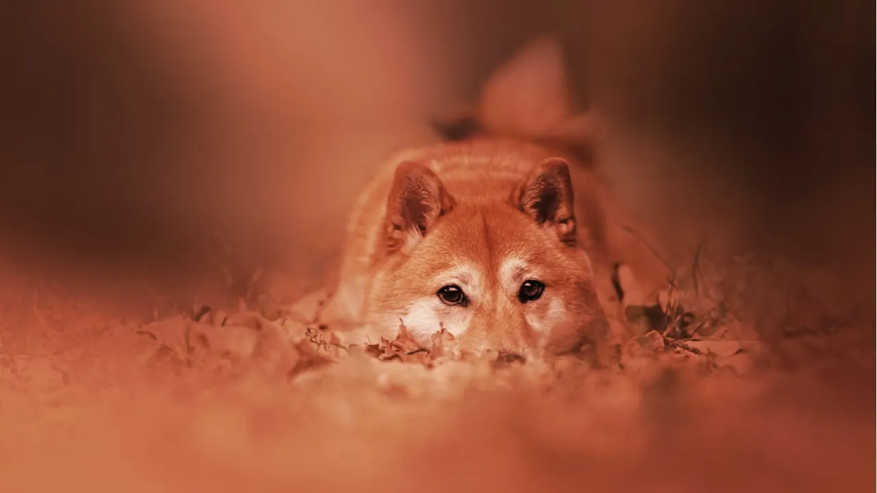 A shiba inu is the mascot of Dogecoin. Image: Shutterstock