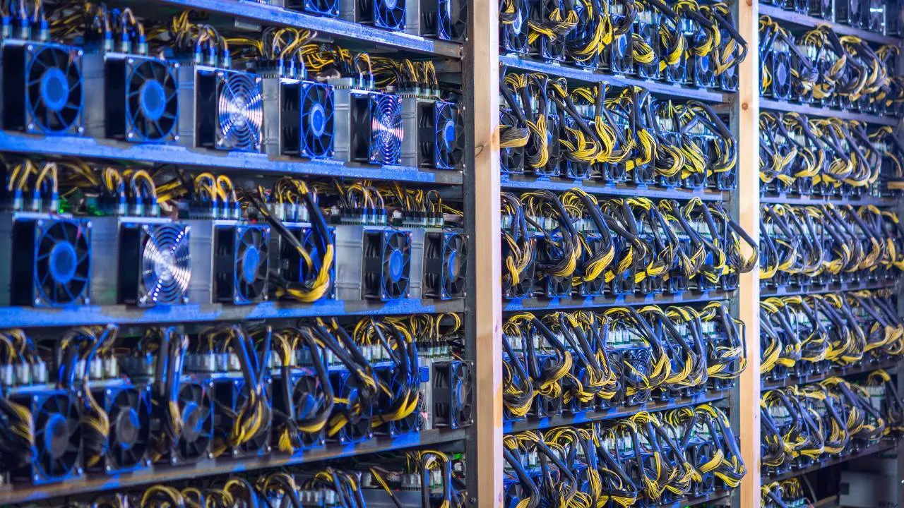 A Bitcoin mining farm. Image: Shutterstock