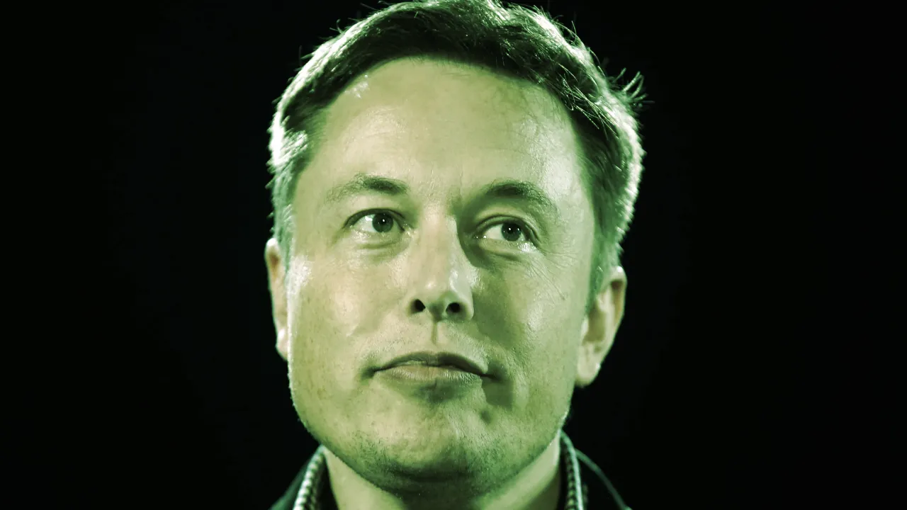 Elon Musk is the CEO of Tesla. Image: Shutterstock