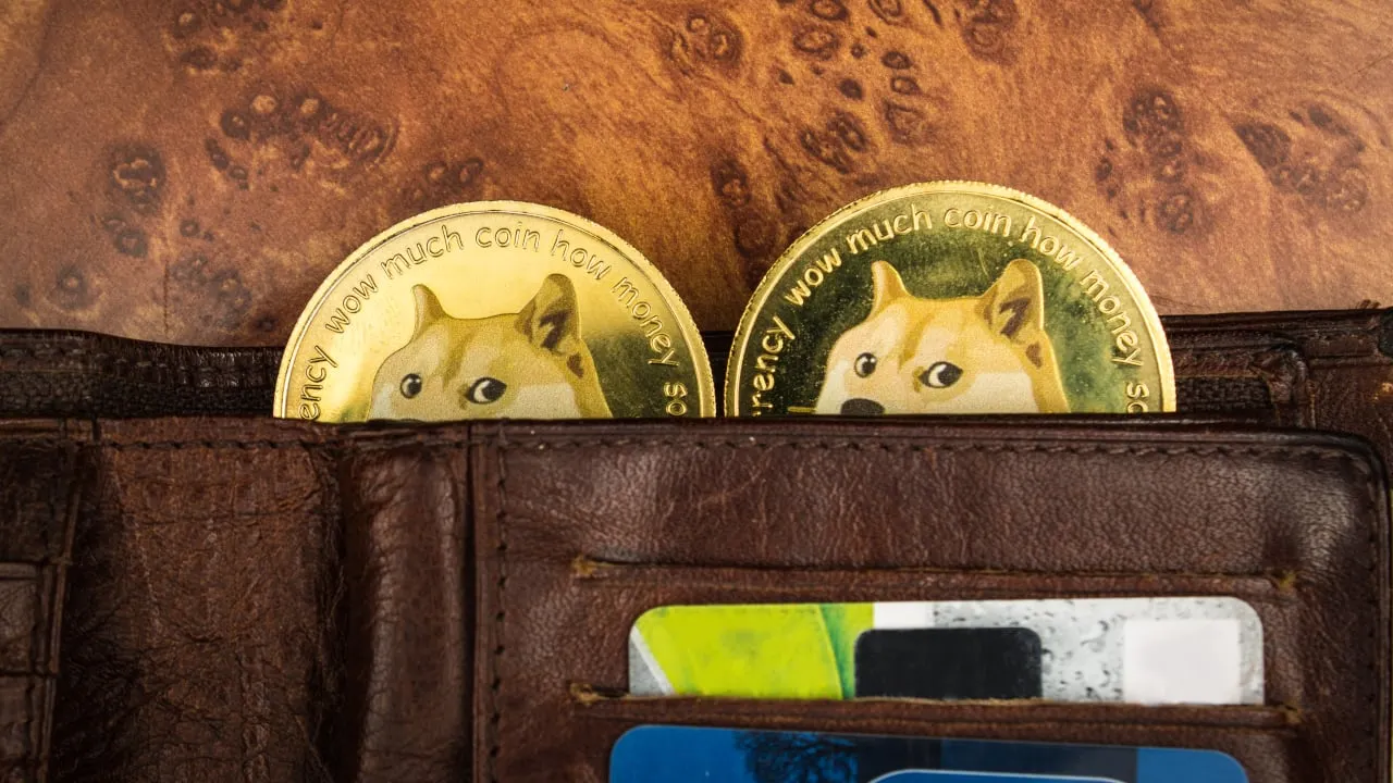 Is Dogecoin in your crypto wallet? Image: Shutterstock