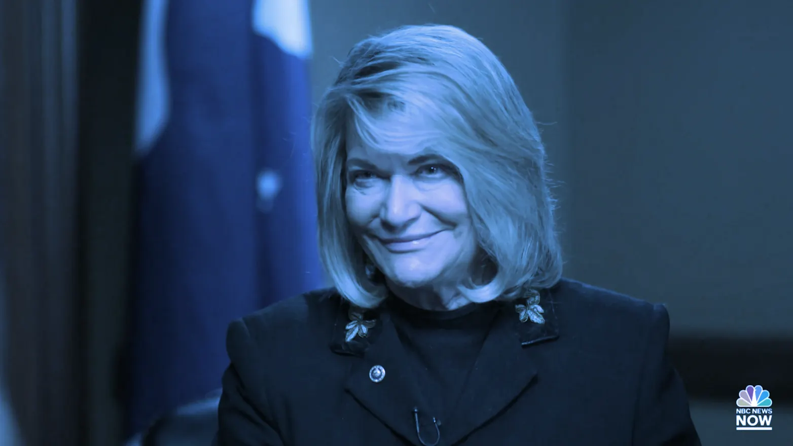 Cynthia Lummis. Image: Meet the Press Reports