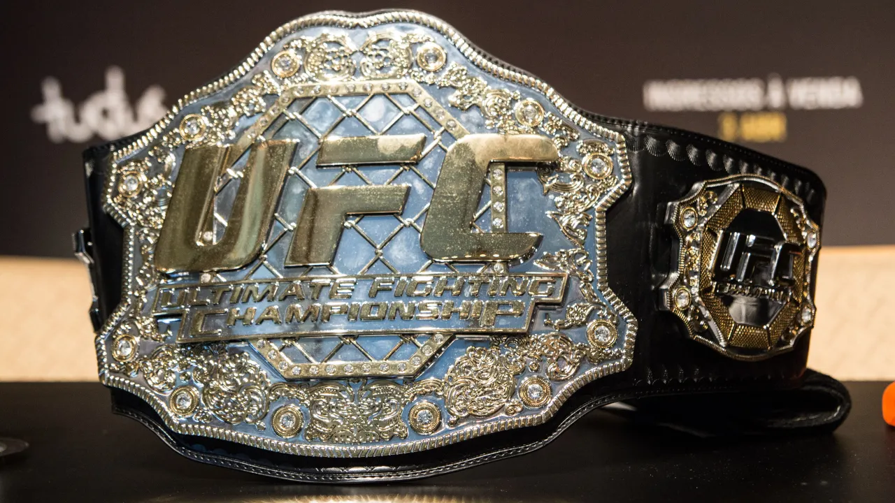 UFC is the largest mixed martial arts organization in the world. Image: Shutterstock