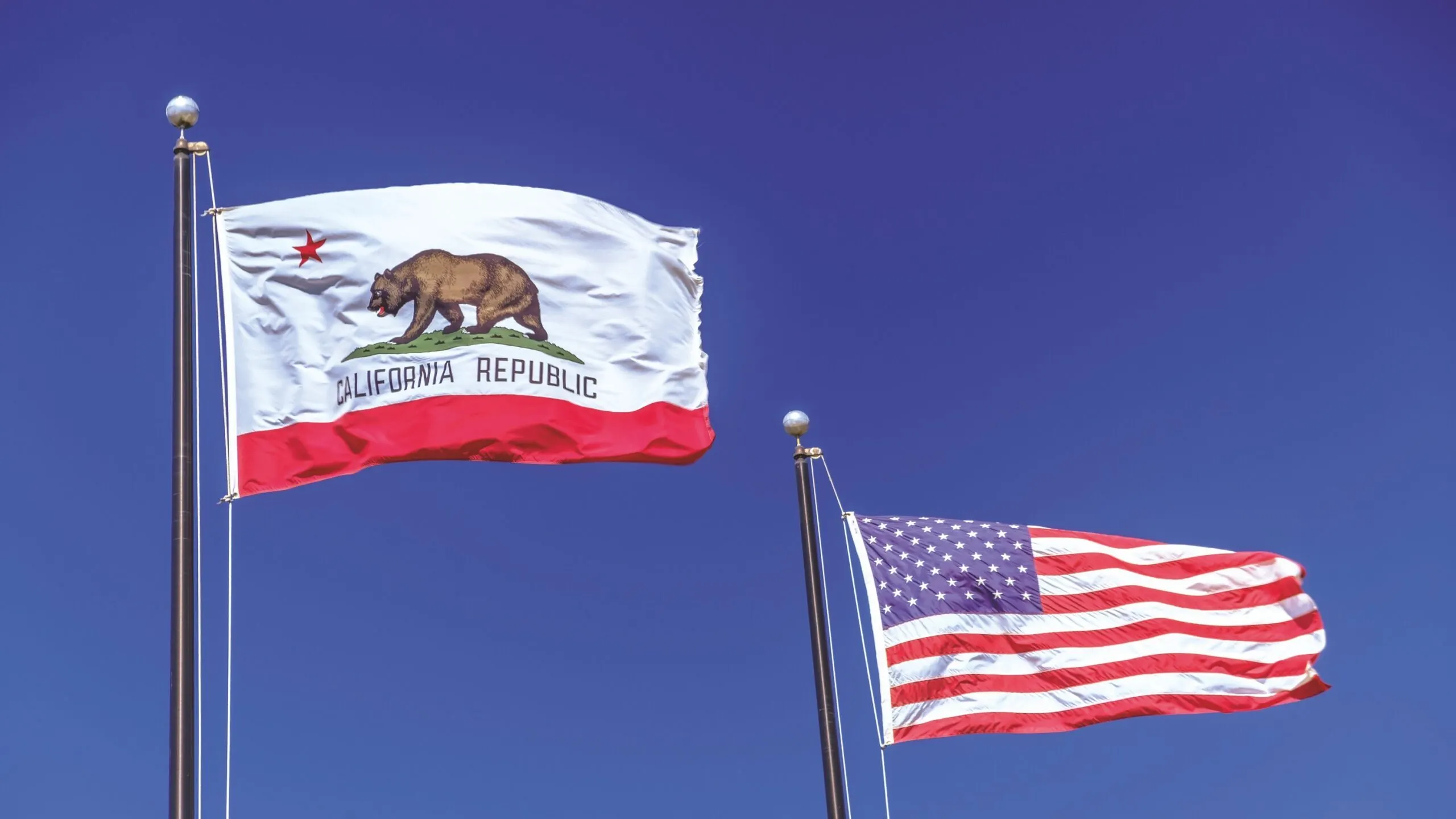 Blue sky with California state flag showing brown bear and United States flag. Image: Drei Kubik on Unsplash.