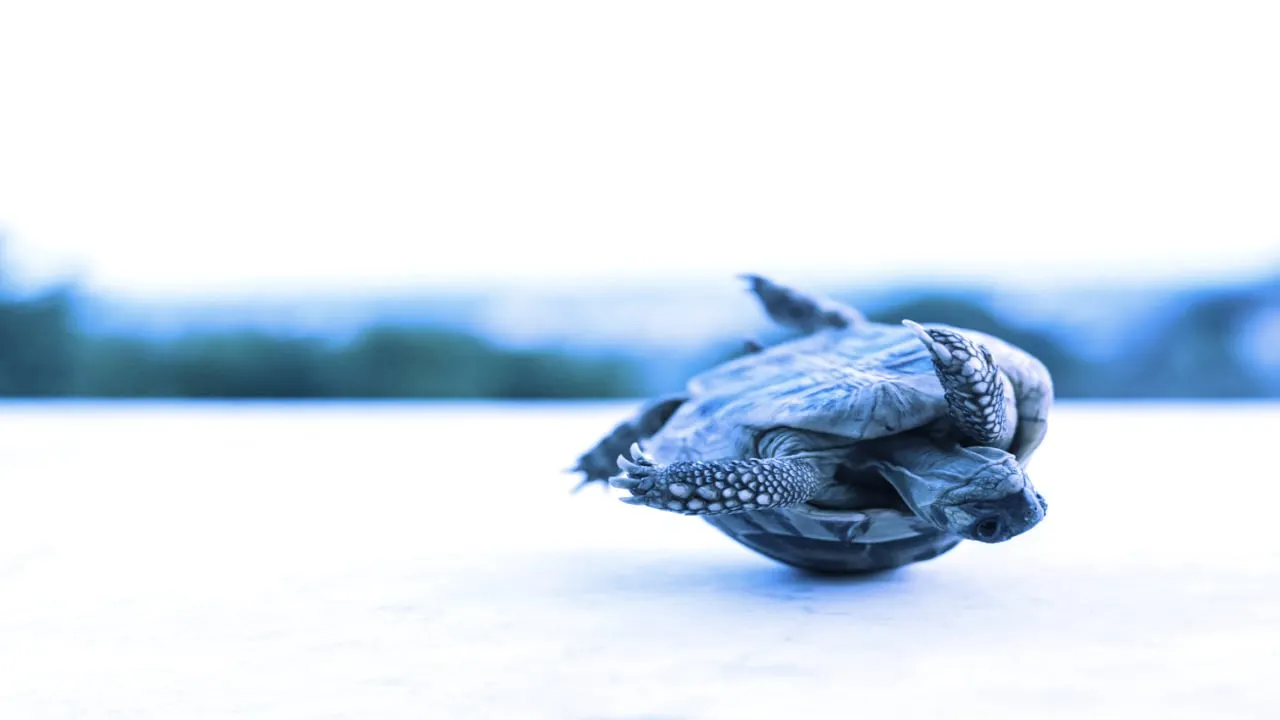 Nexus Mutual is a crypto insurance protocol. Image: Shutterstock.