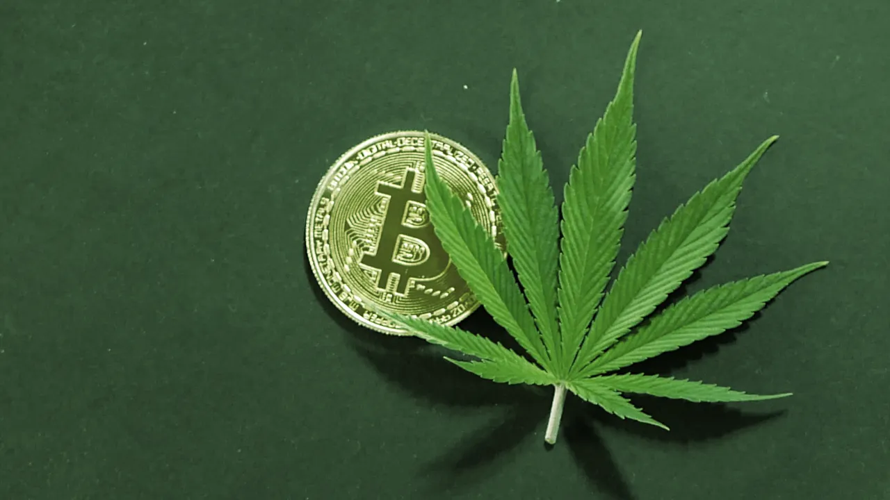Bitcoin halving on 4/20? It could happen. Image: Shutterstock