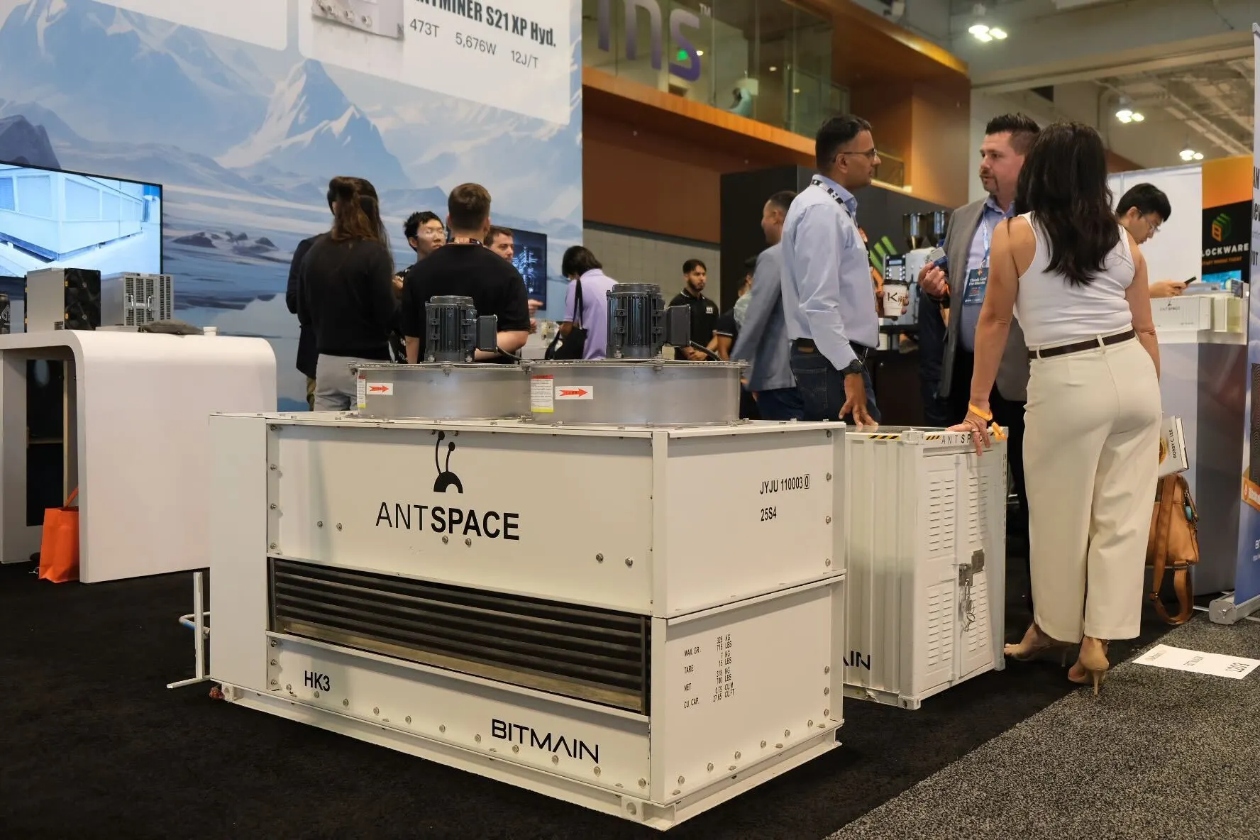 Image: André Beganski/Decrypt