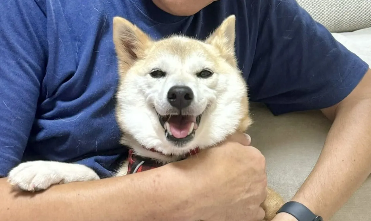 Neiro smiles for the camera. Image: Kabosumama on Twitter
