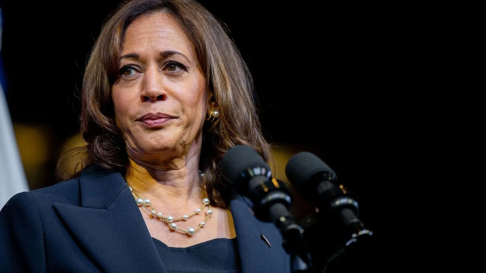 U.S. Vice President Kamala Harris. Photo: Shutterstock