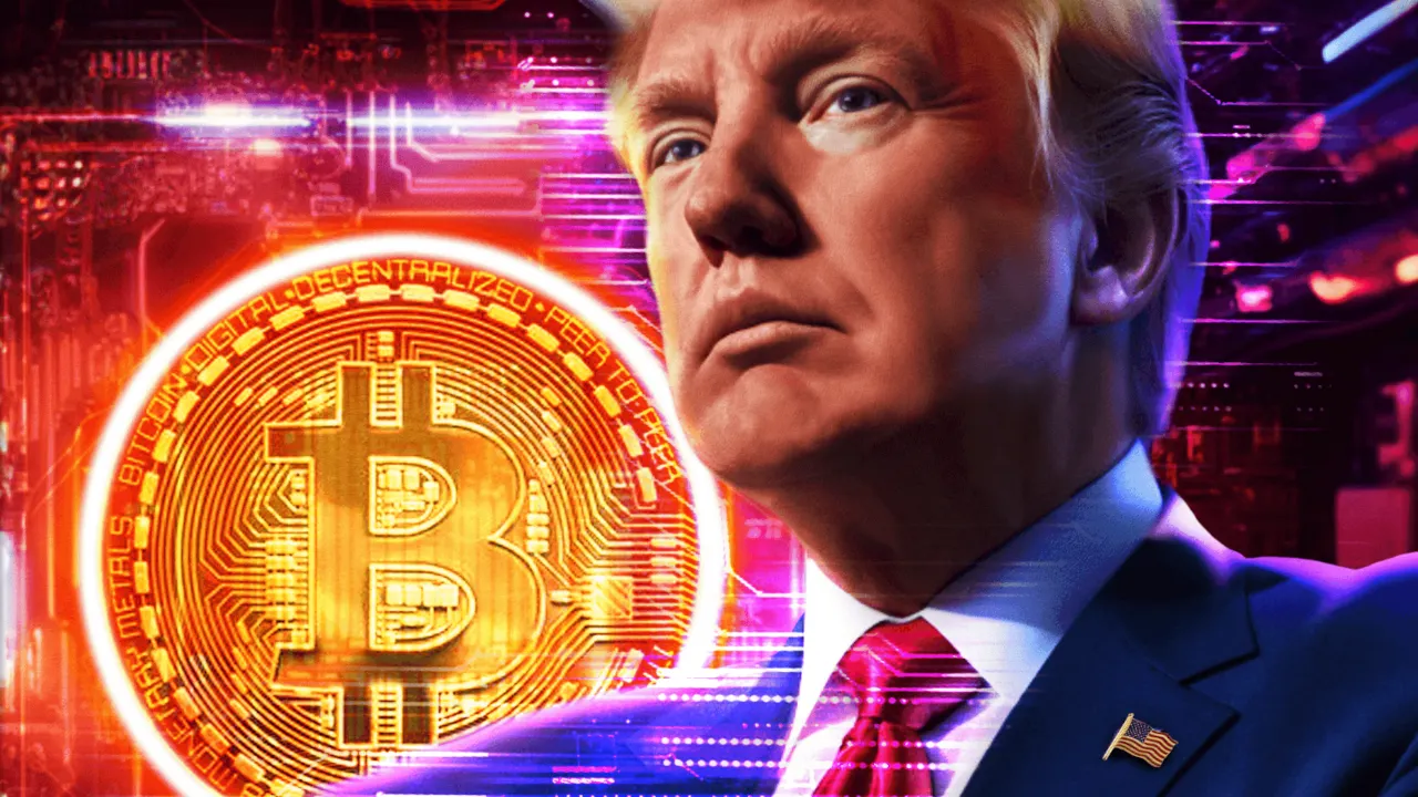 Artwork from Donald Trump's NFT project. Image: CollectTrumpCards