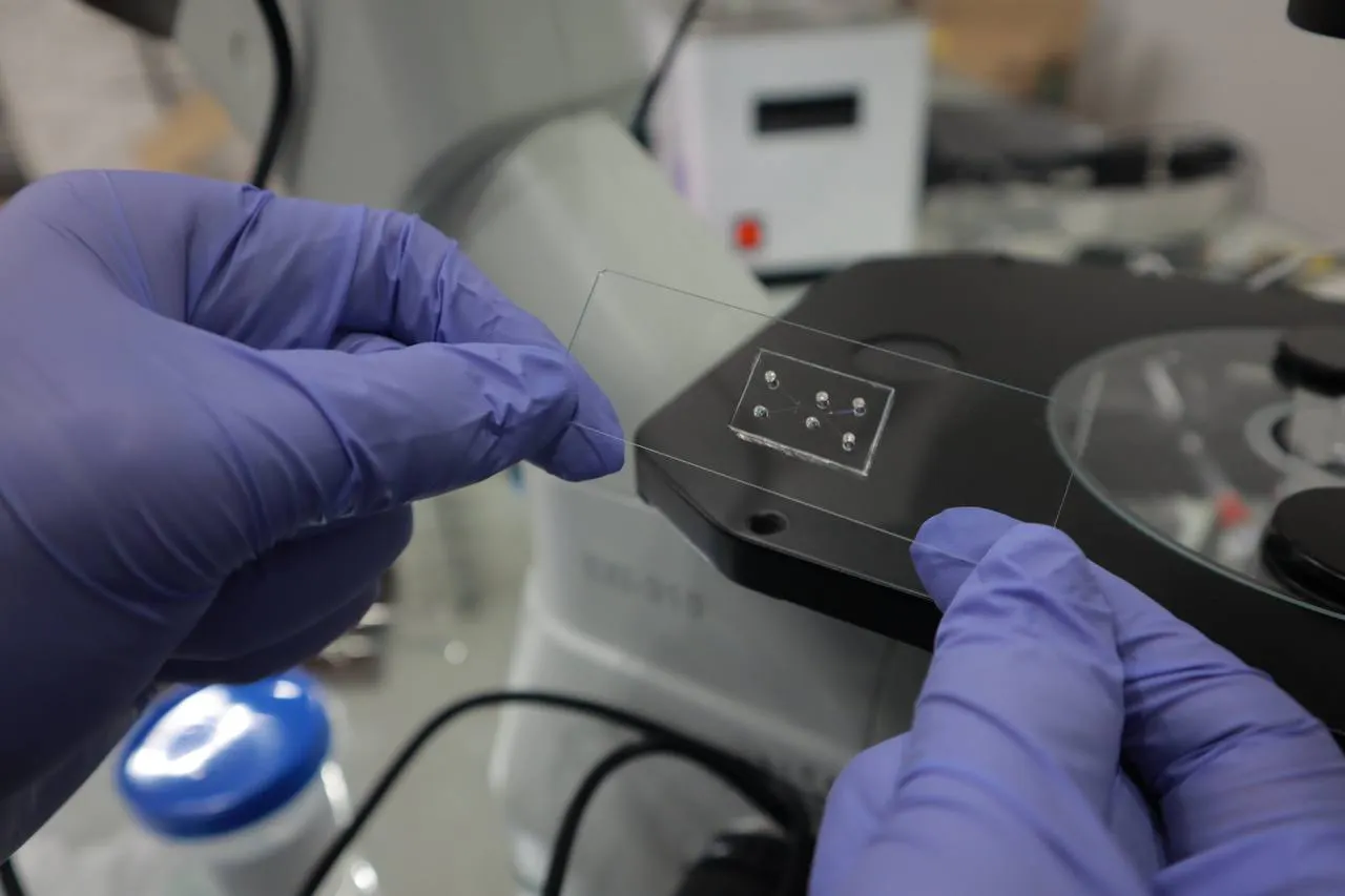 A small chip on transparent glass, held by someone wearing purple gloves.