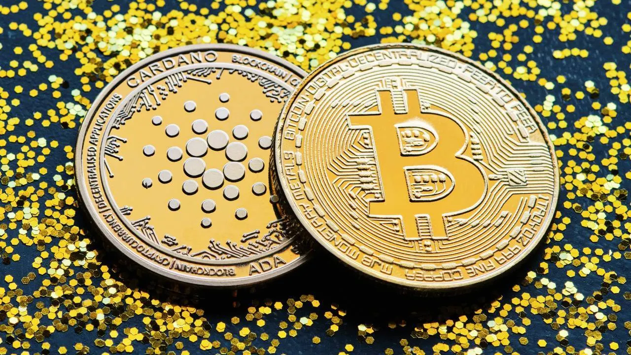 Cardano and Bitcoin. Image: Shutterstock