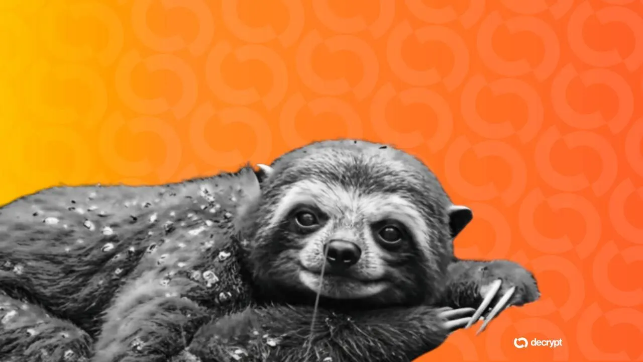 "Star Wars: Field Guide." Image: ILM/Decrypt