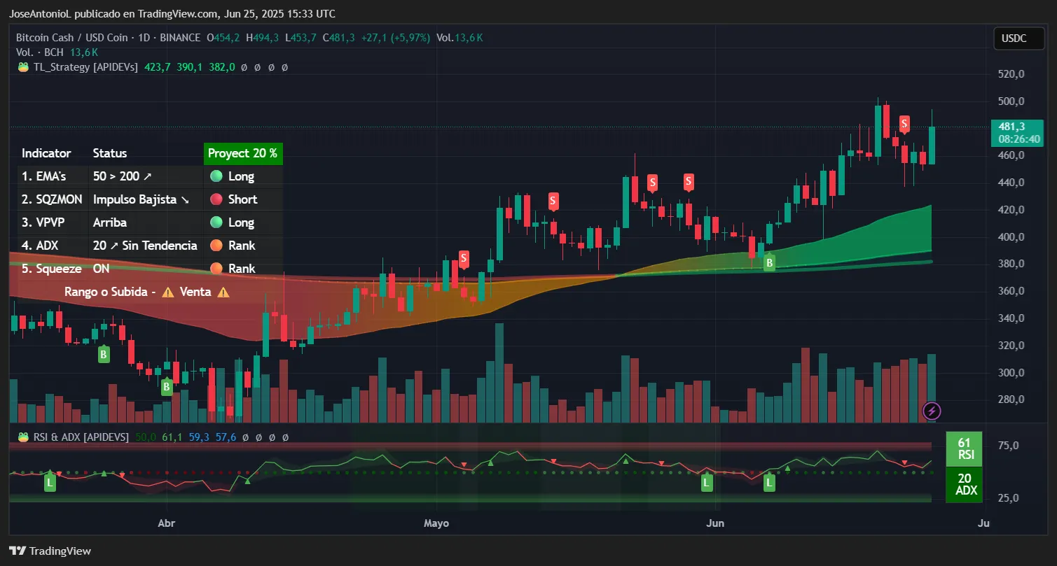 Bitcoin Cash trading data. Image: TradingView
