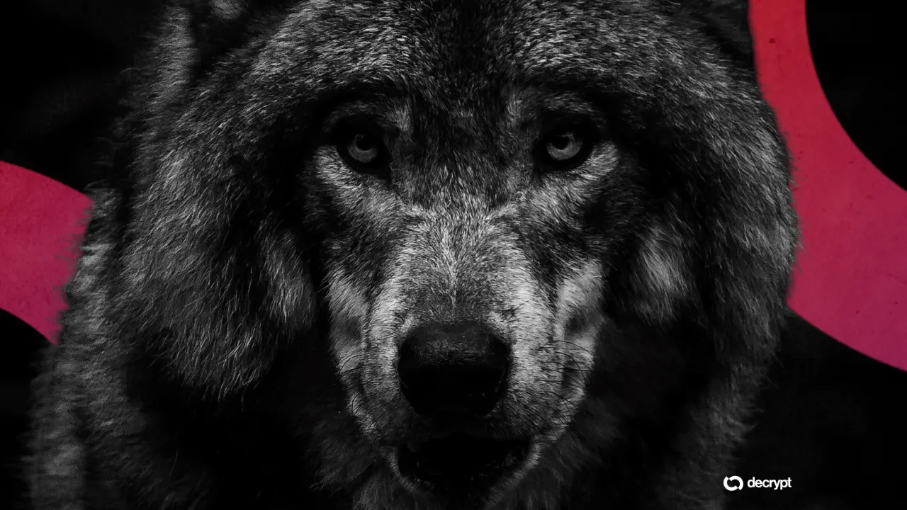 Image: Unsplash/Decrypt