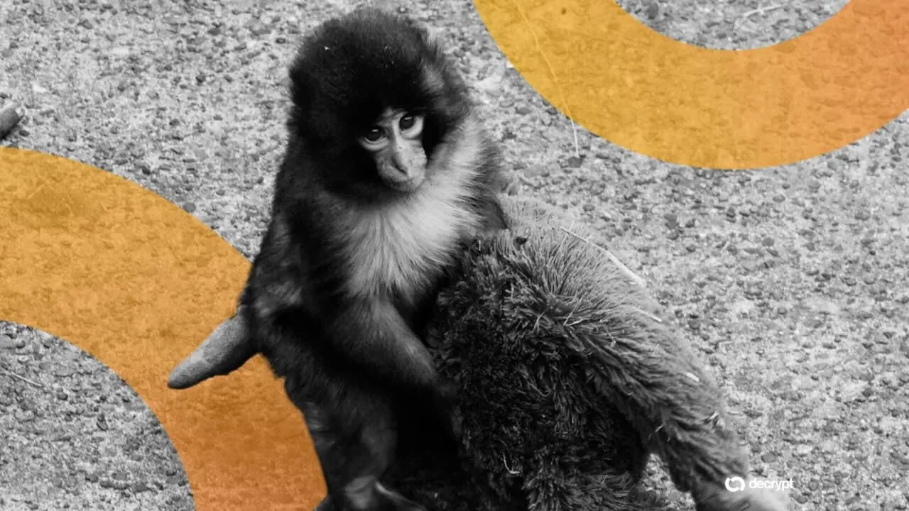 Punch the monkey. Image: Decrypt/Ichikawa Zoo